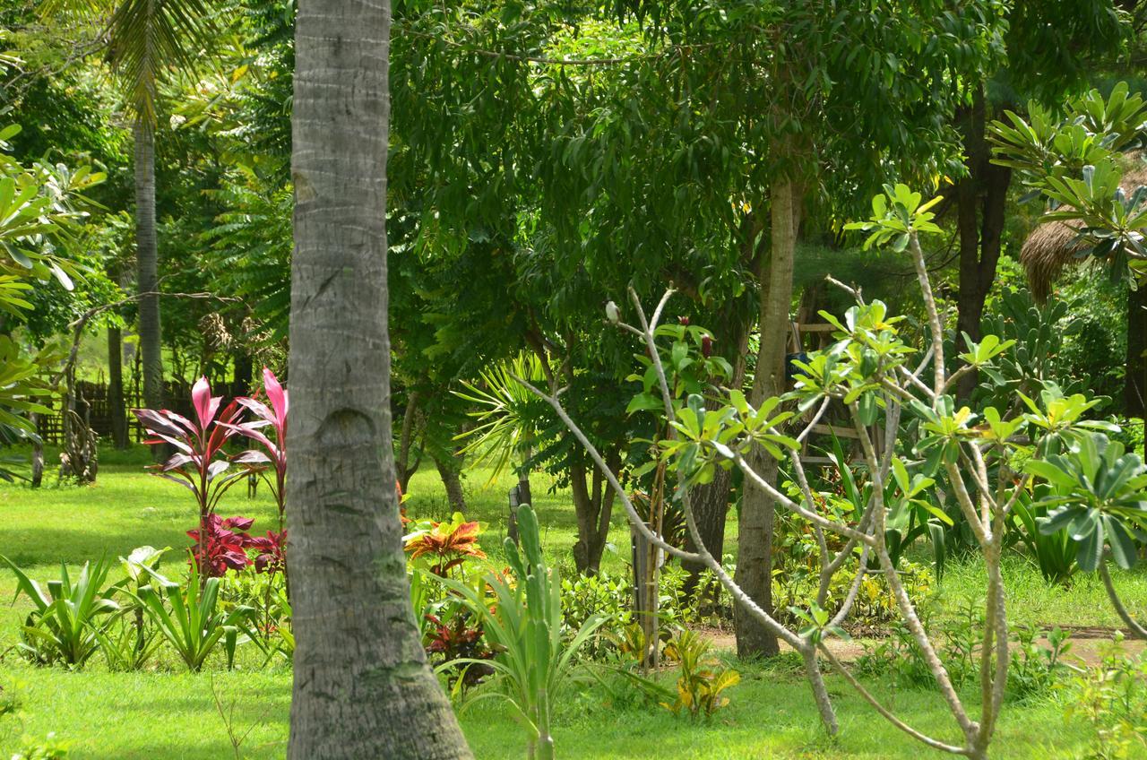 Amigos Bungalows ギリ島 エクステリア 写真